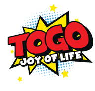 FAS SECURITY SOLUTION S.R.L.